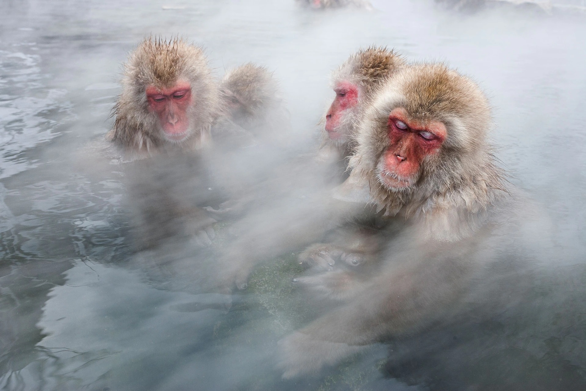Photograph by Jasper Doest, Nat Geo Image Collection