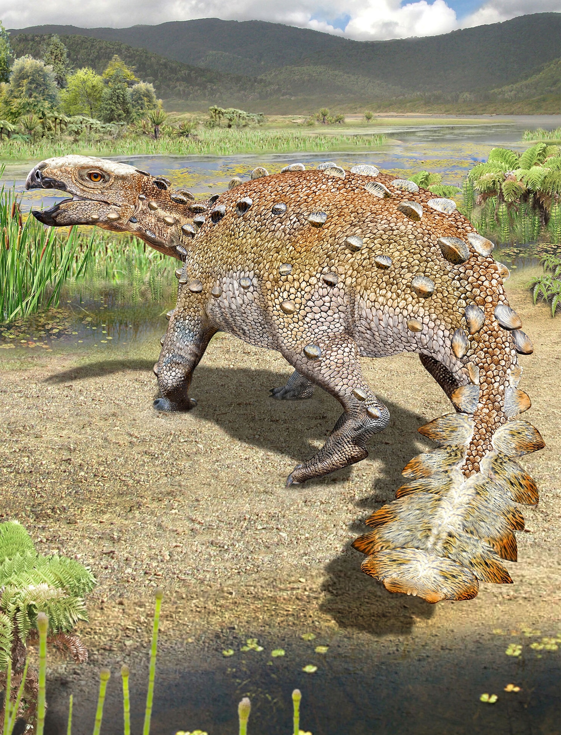 大約7300萬年前，這種有著「砍刀狀尾巴」的新種恐龍曾在現今智利南邊一處綠意盎然的河口三角洲生息。插圖為藝術家對該物種的描繪。ILLUSTRATION BY MAURICIO ÁLVAREZ 