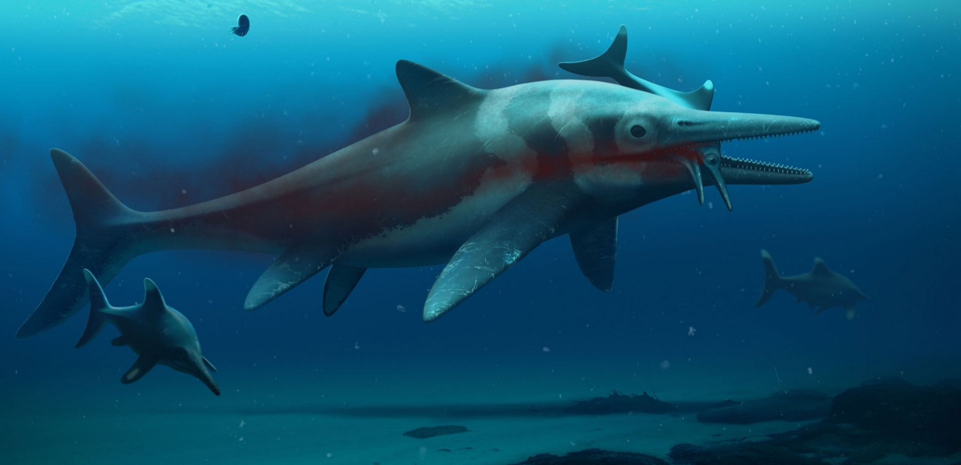 魚龍是一種海洋爬行類，也是遠古海洋中體型最大的掠食者之一。新發現的化石將有助科學家了解牠們的演化史。ILLUSTRATION BY BOB NICHOLLS