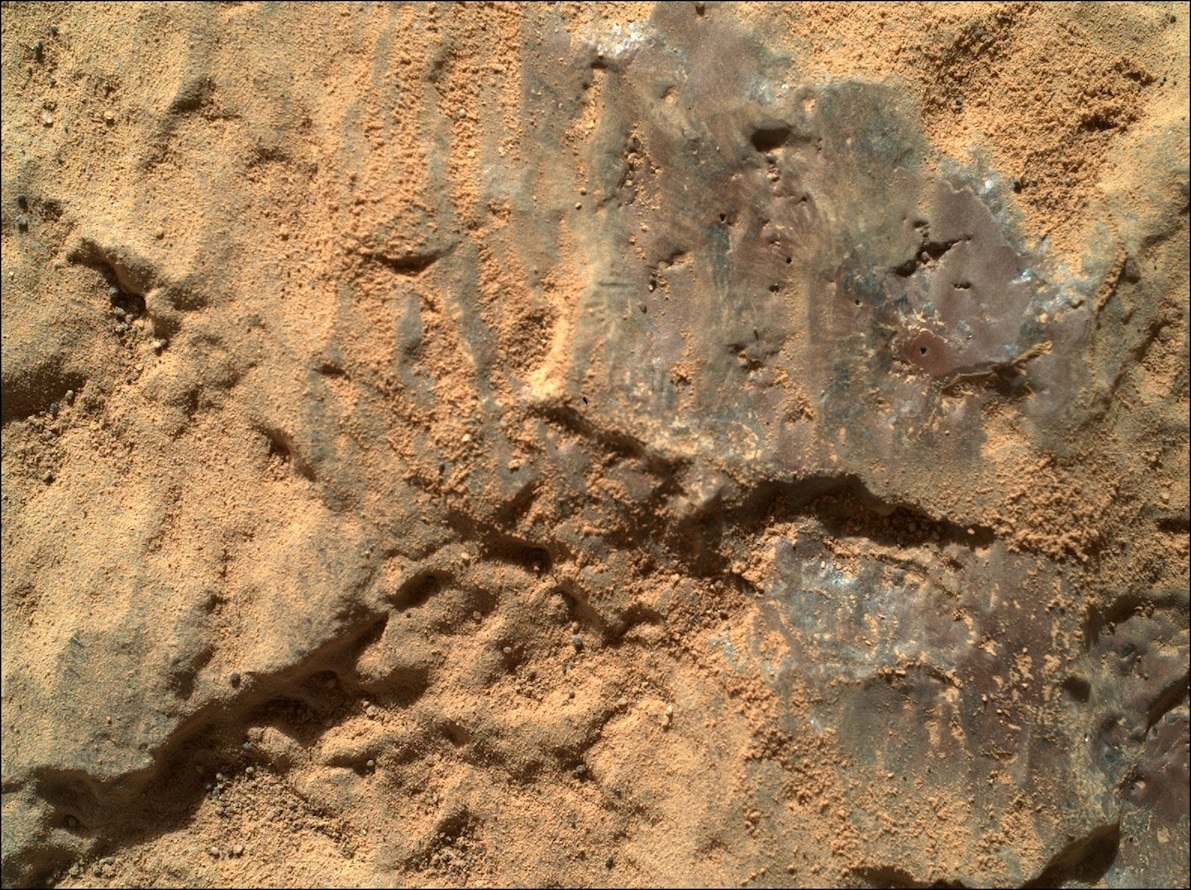 美國航太總署的毅力號探測車在2021年5月拍攝了這張岩石「納塔尼」（Nataani）的照片。影像的右側邊緣附近有個紫色的薄層；它被一連串的雷射鑽出五個小洞，以研究岩石的成分。PHOTOGRAPH BY NASA, JPL-CALTECH