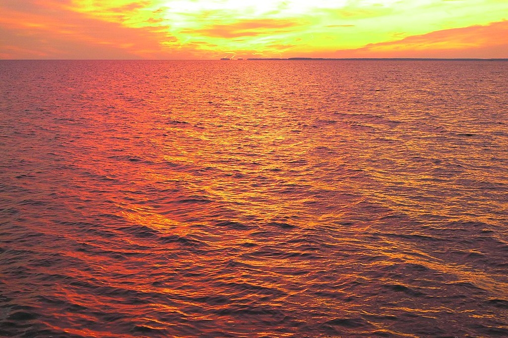 隨著氣候危機加劇，科學家在美國最大出海口「切薩皮克灣」調查熱浪情況。圖片來源：Nora lives／維基百科（CC BY-SA 3.0）