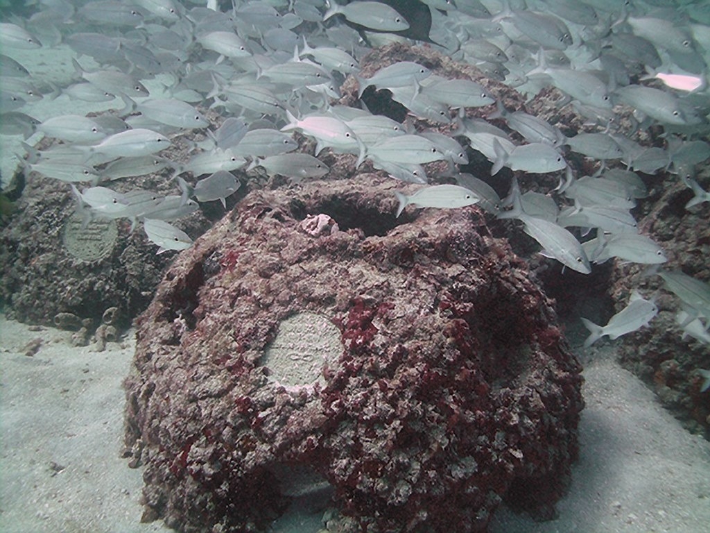 美國佛羅里達州的慈善機構 「永生礁」（Eternal Reefs），為熱愛海洋的人提供珊瑚礁葬服務。圖片來源：擷取自永生礁臉書