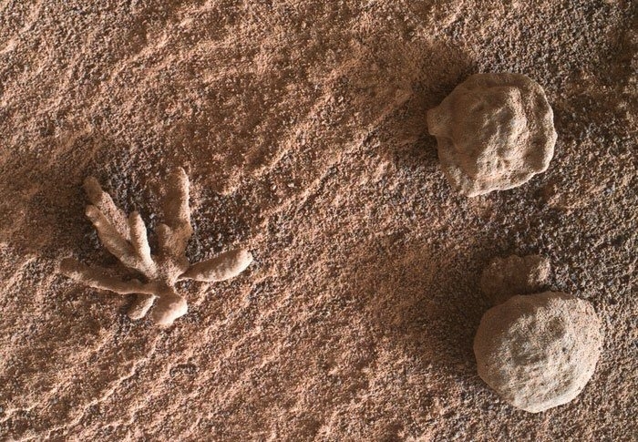 好奇號火星手部透鏡成像儀（MAHLI）所拍攝，揭示了岩石表面的礦物質和紋理。