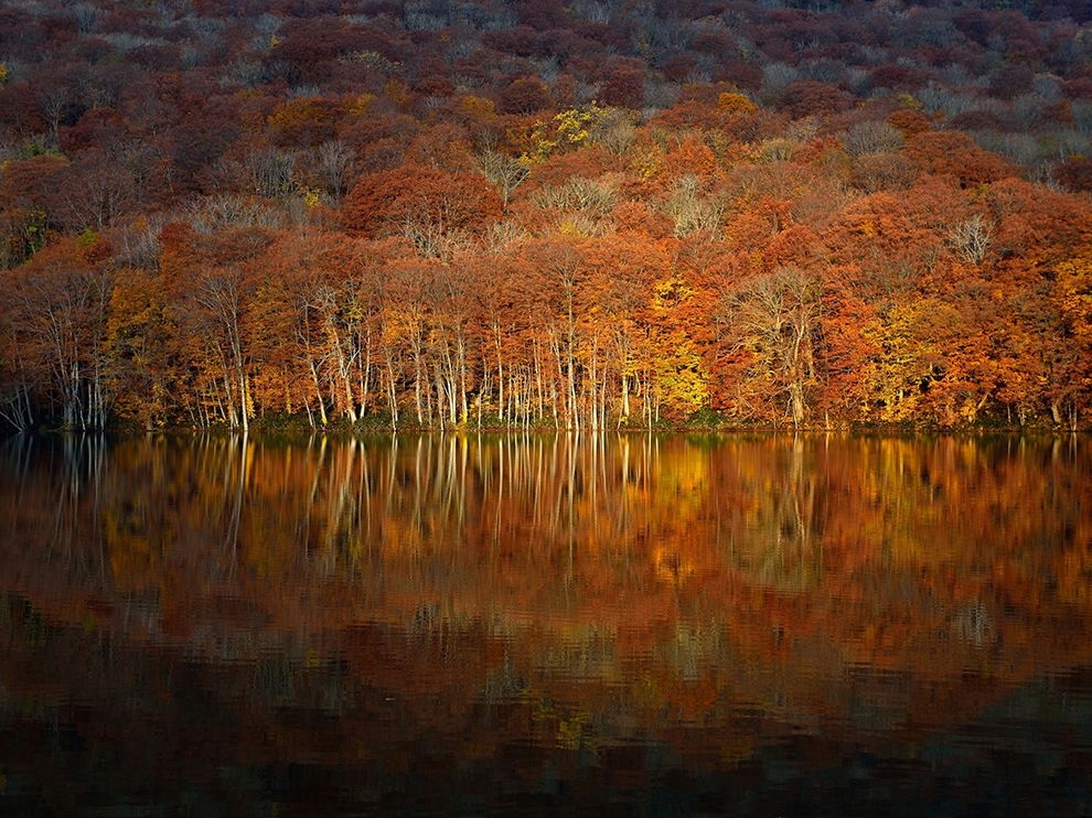 湖畔秋意：青森的紅葉