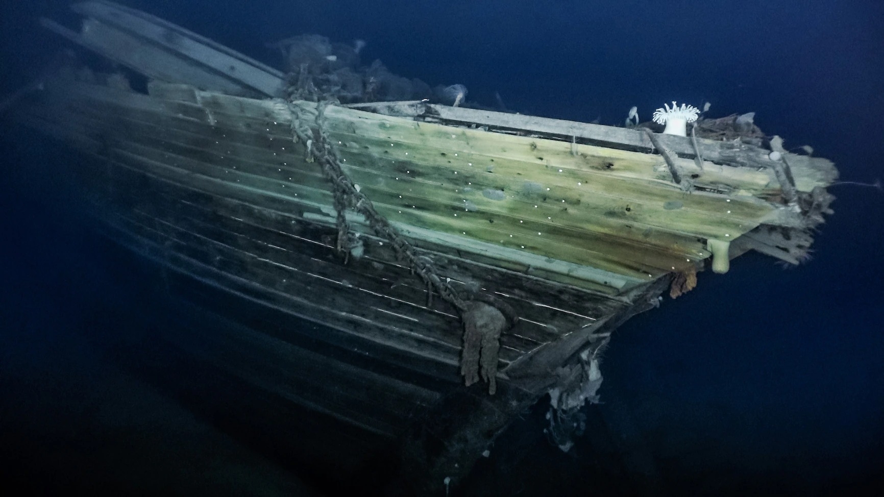 堅忍號的艏右舷就躺在威德爾海深處。上方的海冰危險又變幻莫測，因此目前關於那片地區的資料非常少。VIDEO FRAME BY FALKLANDS MARITIME HERITAGE TRUST, NATIONAL GEOGRAPHIC 
