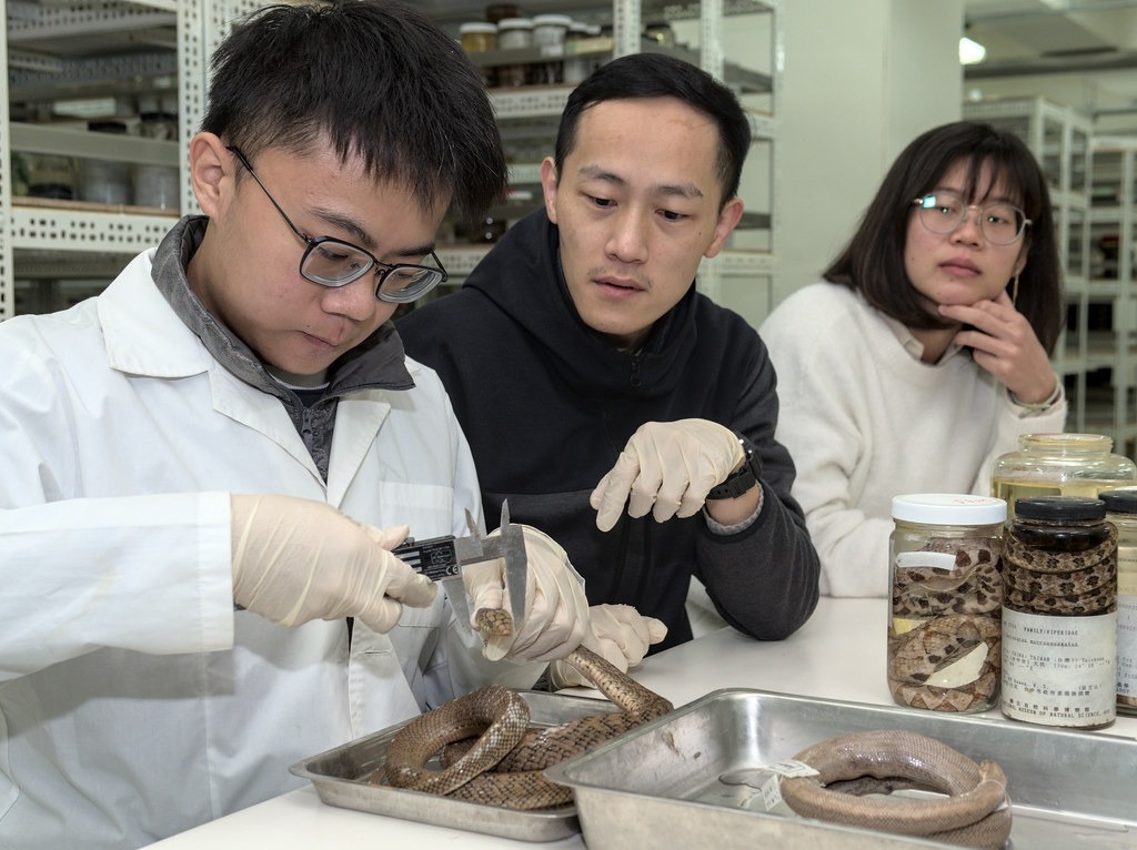 黃晨瑋（左）從國小開始喜歡野外自然觀察，國立自然科學博物館生物學組團隊指導他參與研究蛇類眼睛演化。圖片來源：國立自然科學博物館提供