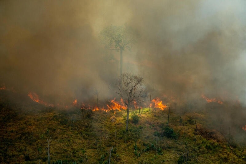 根據最新研究，亞馬遜地區正在失去從乾旱和土地利用變化等干擾中恢復的能力。圖片來源：Christian Braga／綠色和平