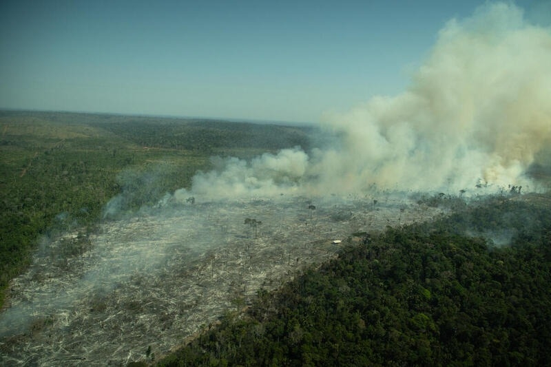 氣候變遷加上大面積濫伐、農牧活動的燃燒整地，已經讓亞馬遜雨林變得炎熱乾燥。圖片來源：Christian Braga／綠色和平