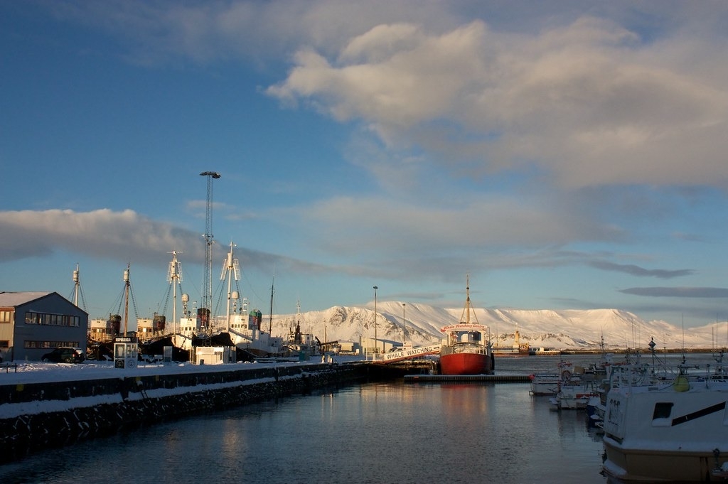 冰島港口停靠各種類型船隻，左邊一排為捕鯨船，右邊紅色外型的則是賞鯨船。圖片來源：Matt Riggott／維基百科（CC BY-SA 2.0）
