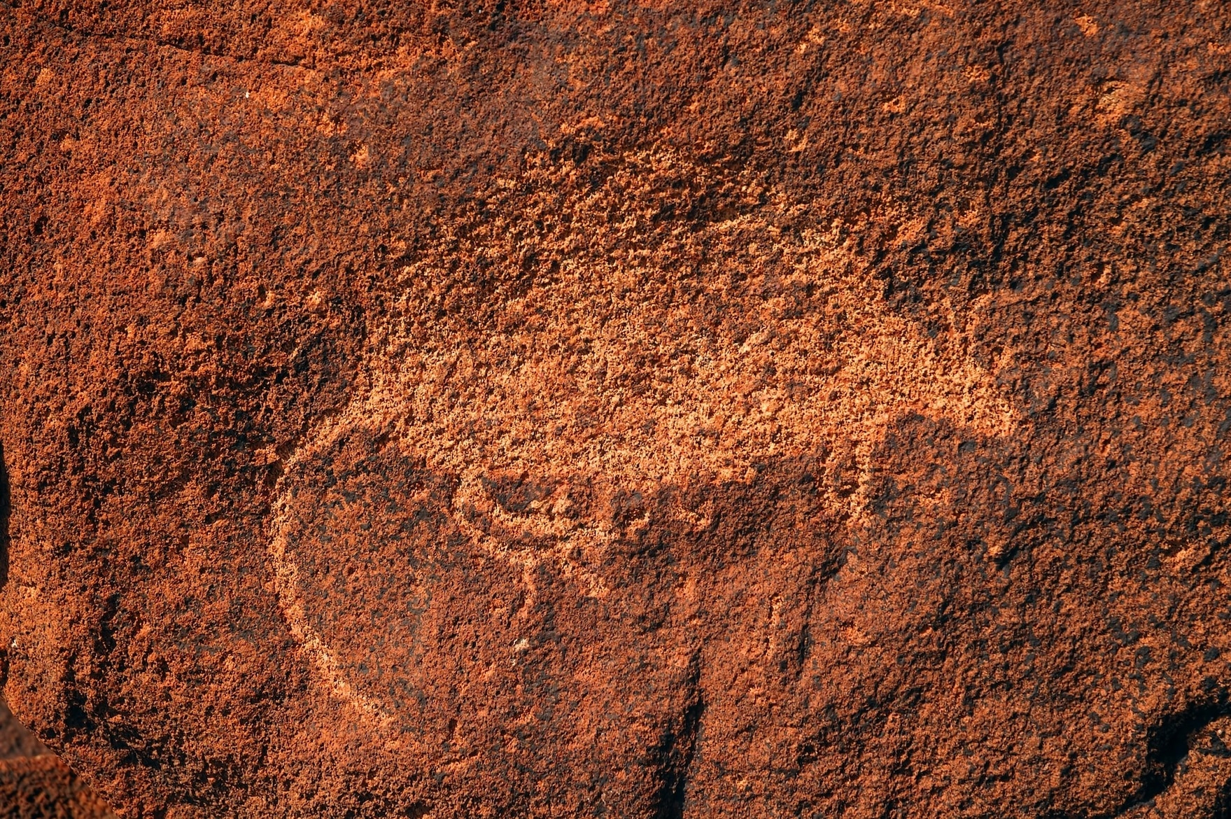 穆魯朱加的岩雕描繪著似人的形體、人臉，以及數千年前棲息於此的動物。PHOTOGRAPH BY SUZANNE LONG, ALAMY STOCK PHOTO