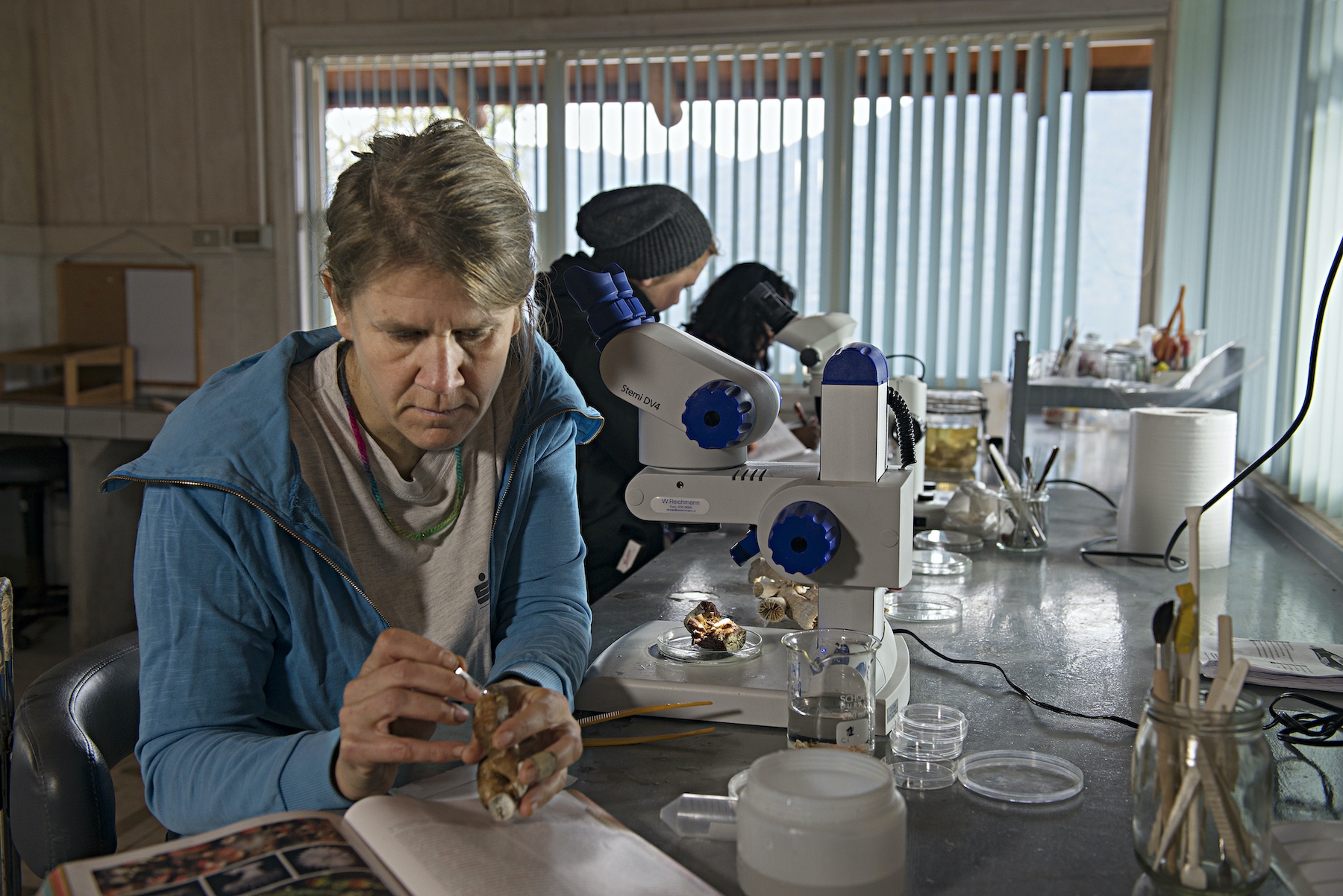 豪澤曼和她的團隊在實驗室研究海洋生物。（圖片：勞力士提供）