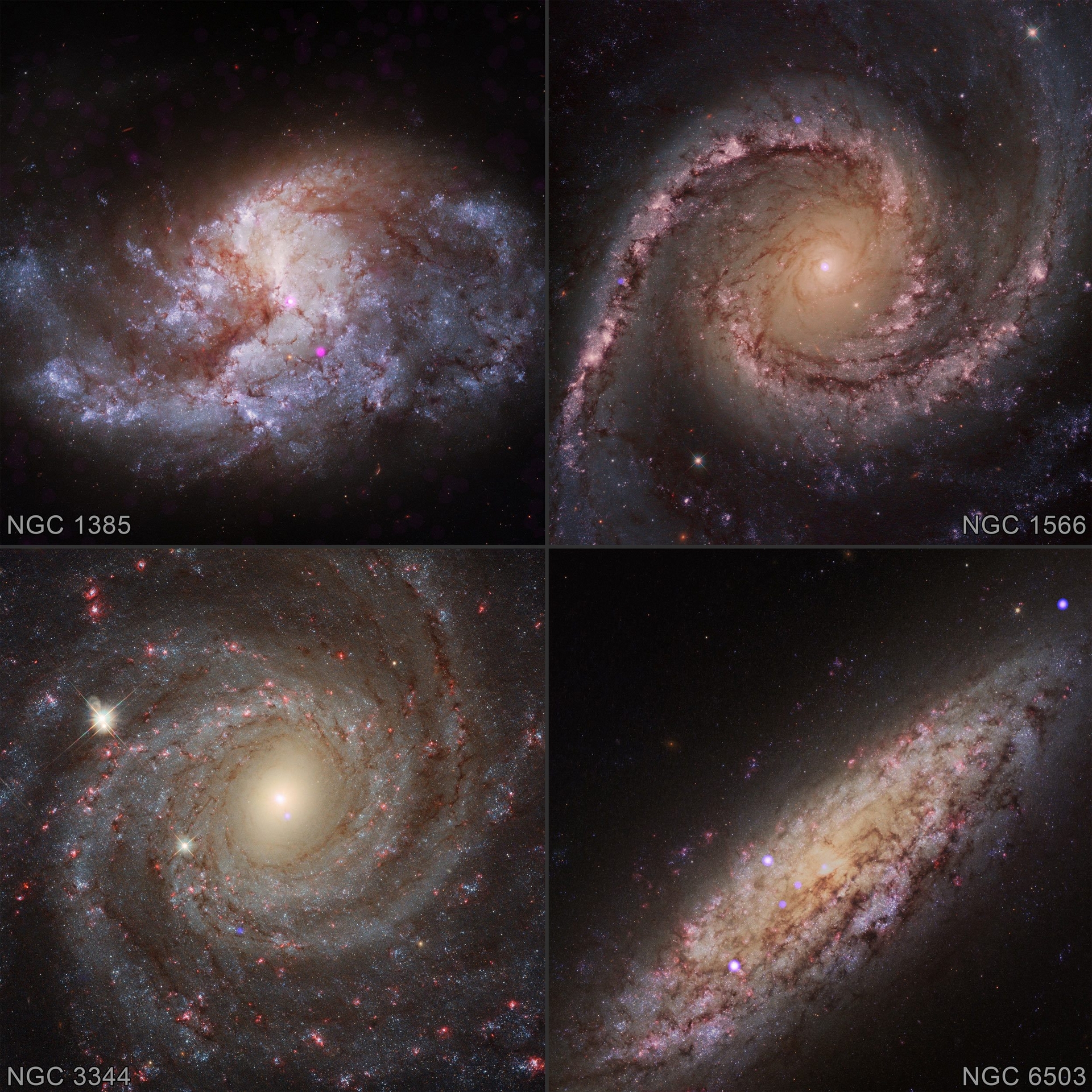 圖中這些星系顯示其中心附近黑洞生長的證據。錢卓拉X射線（藍色）疊加在來自哈伯太空望遠鏡所拍攝的星系NGC 1385、NGC 1566、NGC 3344和NGC 6503的光學影像上。圖片來源：NASA/CXC/Washington State University / Baldassare et al. / ESA / STScI.