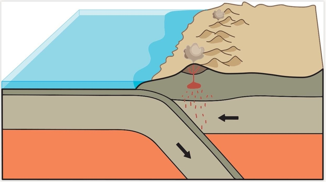 密度較大的海洋板塊隱沒至大陸板塊之下，誕生了火山，這是板塊構造運動的結果。