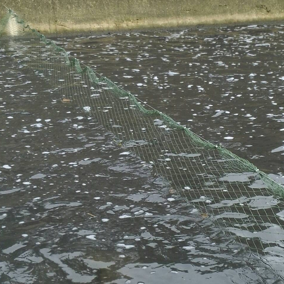 攔除網以固定式攔截網方式，設置於河川斷面。圖片來源：嶼水相惜民眾資料網