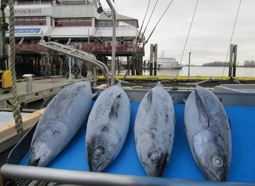 減少供應鏈中魚類腐敗的機會也確實是改善浪費的方法，像是在低收入國家發展冷鏈技術。圖片來源：iwona_kellie／Flickr（CC BY-NC-SA 2.0）