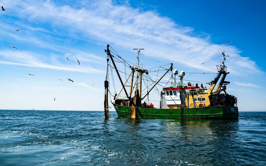 研究者認為，劃設保留區只會讓捕魚活動轉移到其他地方。圖片來源：Paul Einerhand／Unsplash