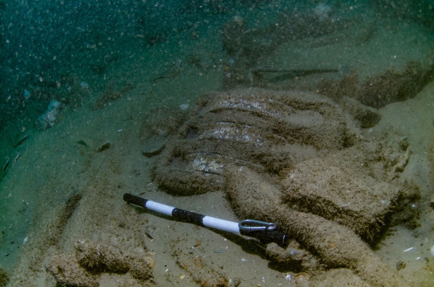 暴露在海床上的這塊滑輪屬於格洛斯特號船上的裝置之一。沙土底下可能還埋著更多文物。PHOTOGRAPH BY NORFOLK HISTORIC SHIPWRECKS PRESS RELEASE 