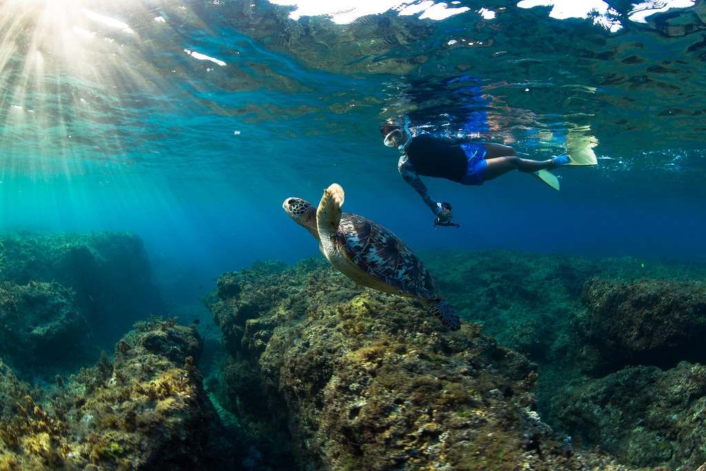 「海龜點點名協會」將會進行每季一次的水下調查及每月一次的空拍調查，地點皆以小琉球為主。圖片來源：蘇淮提供  