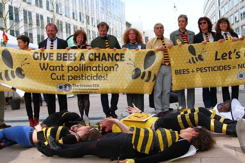 Greens/EFA推動削減農藥使用，給蜜蜂一個機會。圖片來源：Greens/EFA Flickr（CC BY 2.0）
