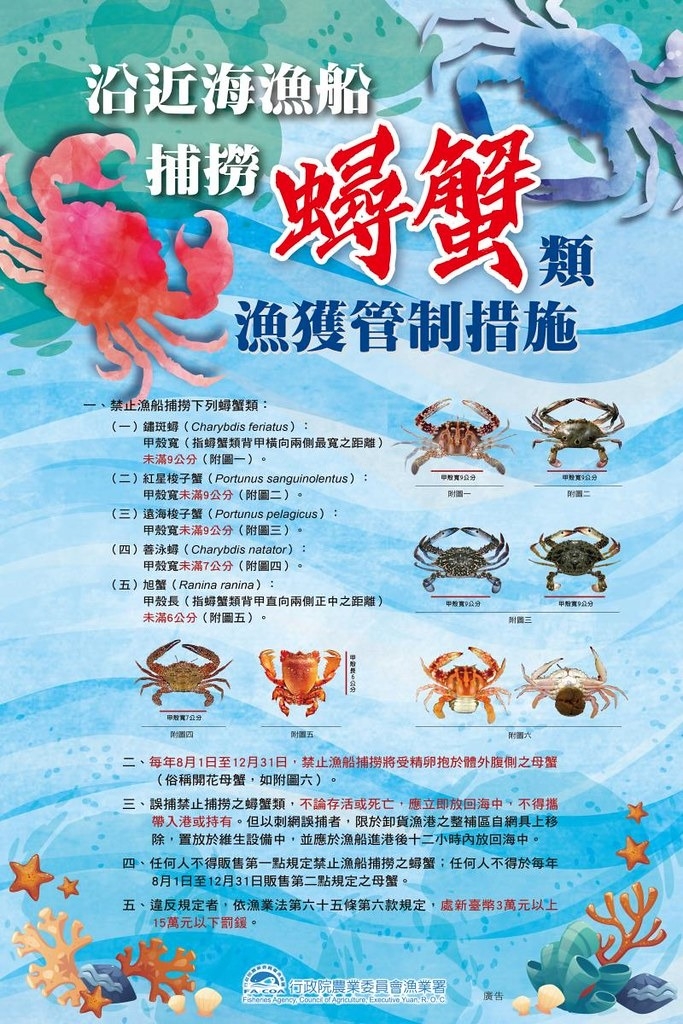漁業署宣布，自8月1日起將禁捕期延長至5個月，並將4種主要抱卵的螃蟹管制體長增加1公分。圖片來源：漁業署