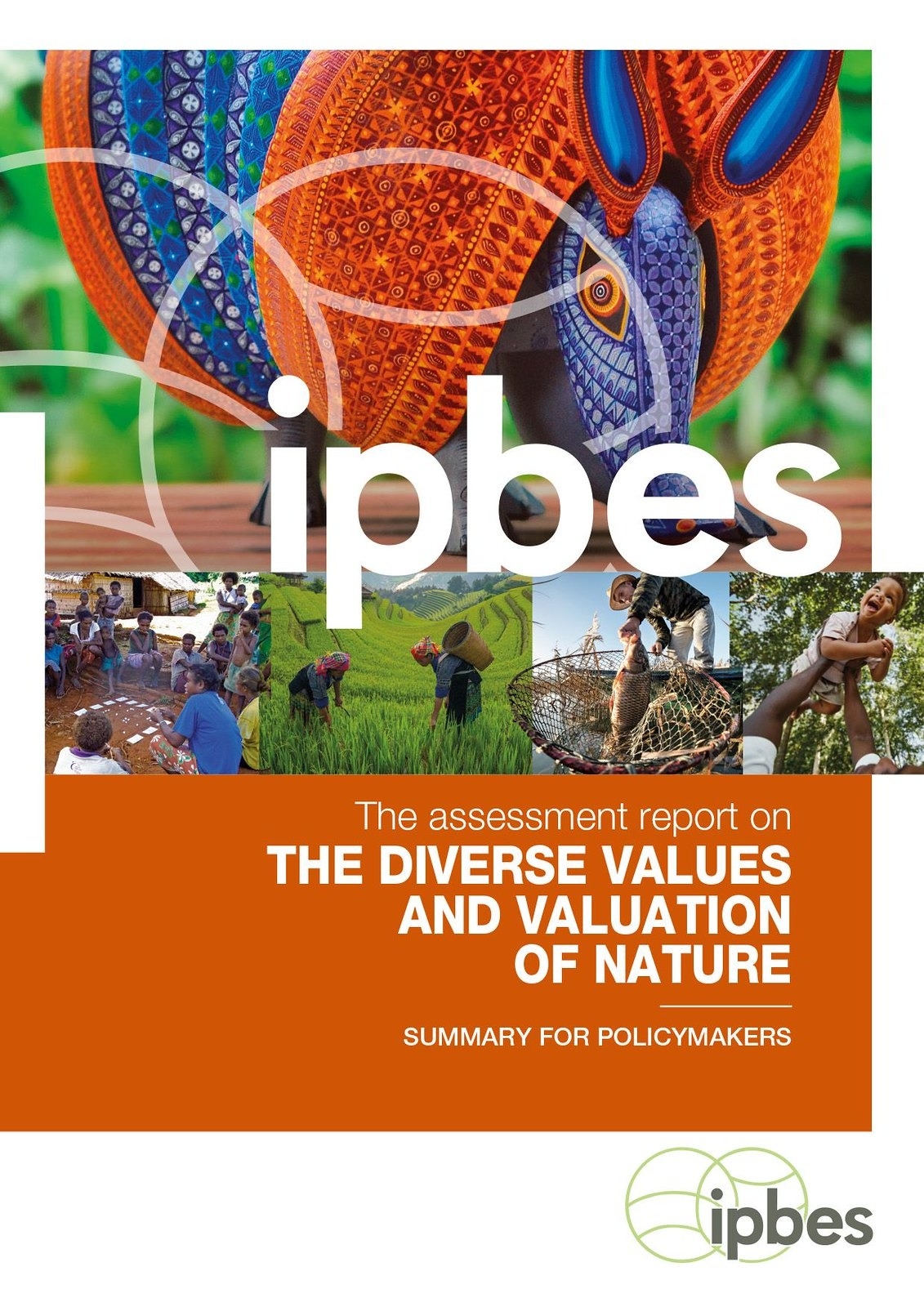 IPBES發布《自然的多樣價值和價值推估方法評估報告》（Assessment Report on the Diverse Values and Valuation of Nature）的決策者摘要部分。圖片來源：IPBES
