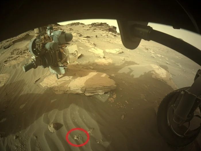 紅圈指出毅力號看見的纏繞物（7月12日攝影，495 Sol）。