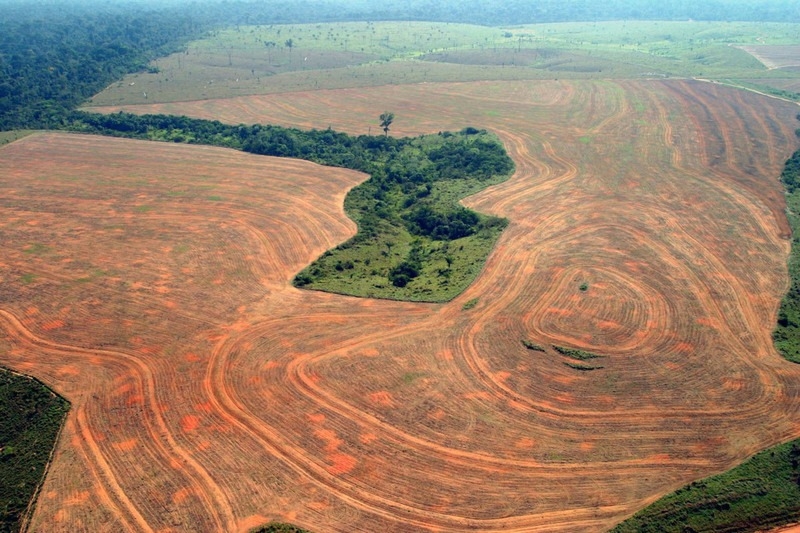 熱帶地區森林覆蓋面積快速減少。圖片來源：Alberto Cesar Araújo／Greenpeace
