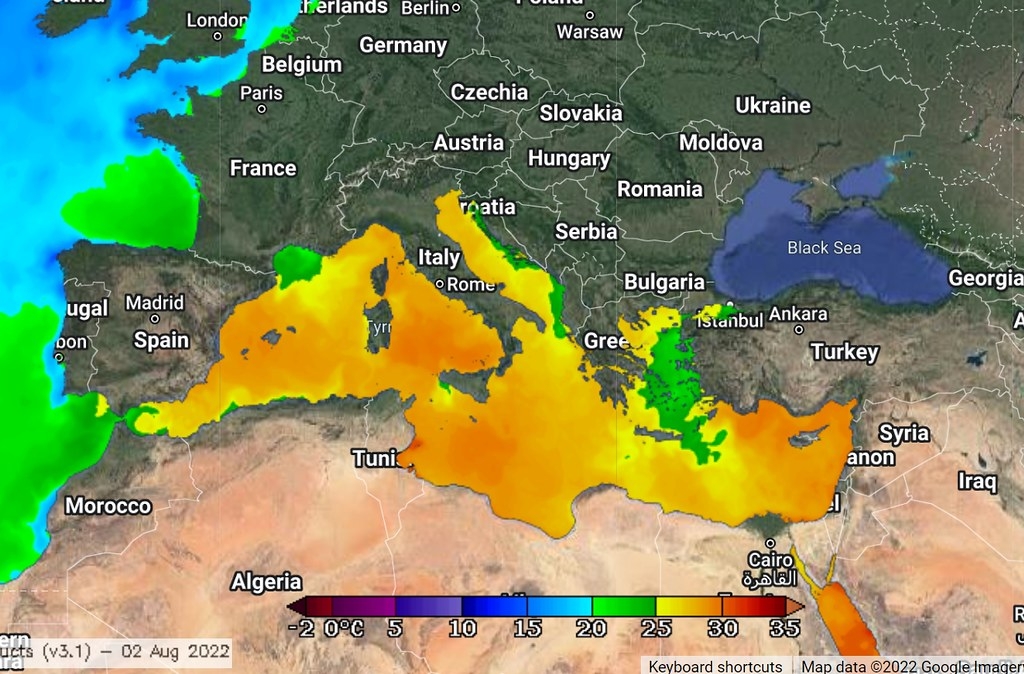 2022年8月初的地中海海水表面溫度（SST）。圖片來源：截圖自NOAA珊瑚白化衛星監測資料
