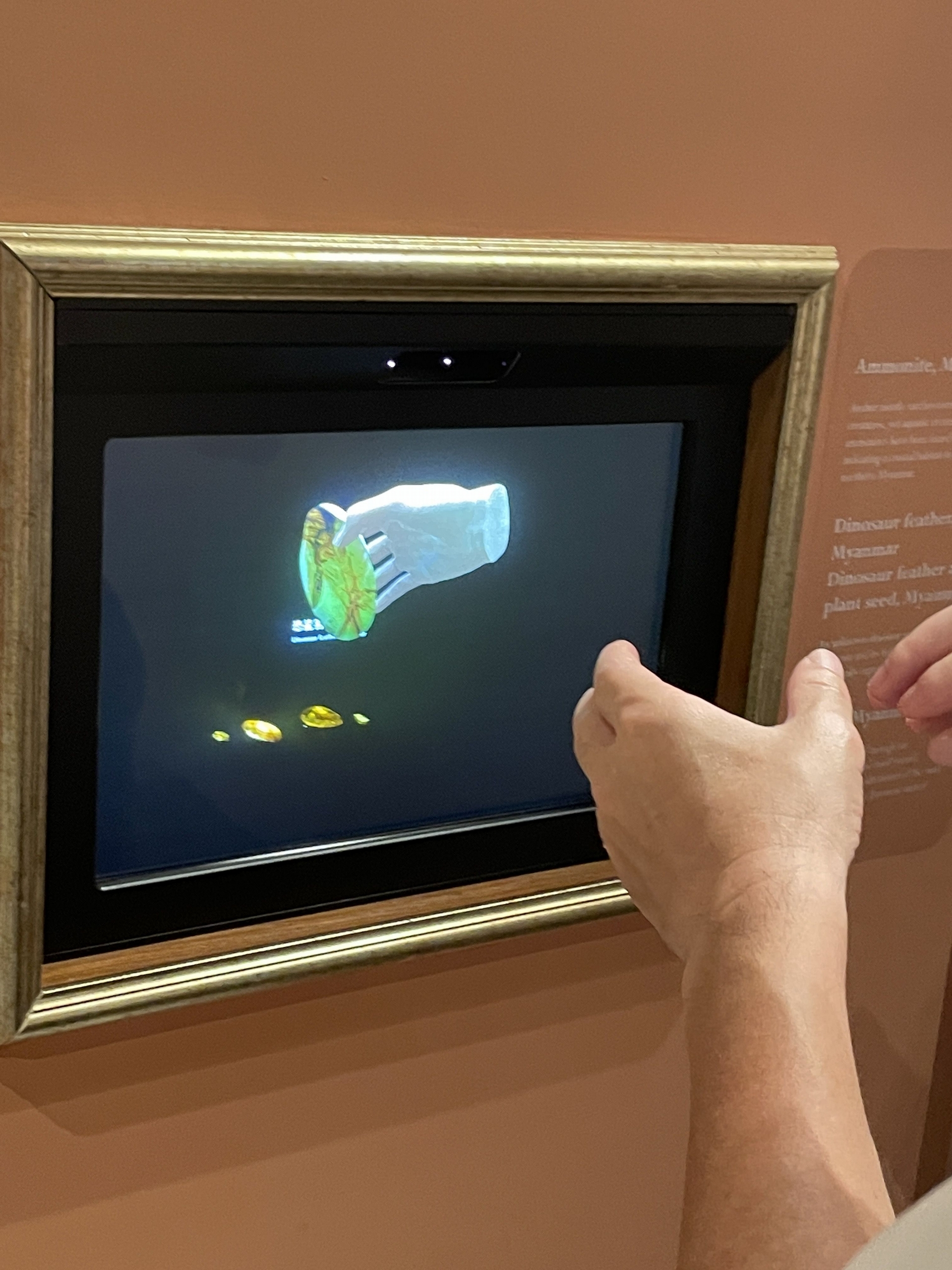此次科博館的琥珀特展與工研院合作，運用擴增實境技術，讓觀眾體驗用這種技術「看」琥珀。
