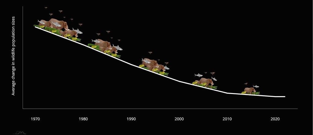 每兩年的地球生命力報告揭露野生動物族群數下降的情況。圖表來源：WWF官網截圖