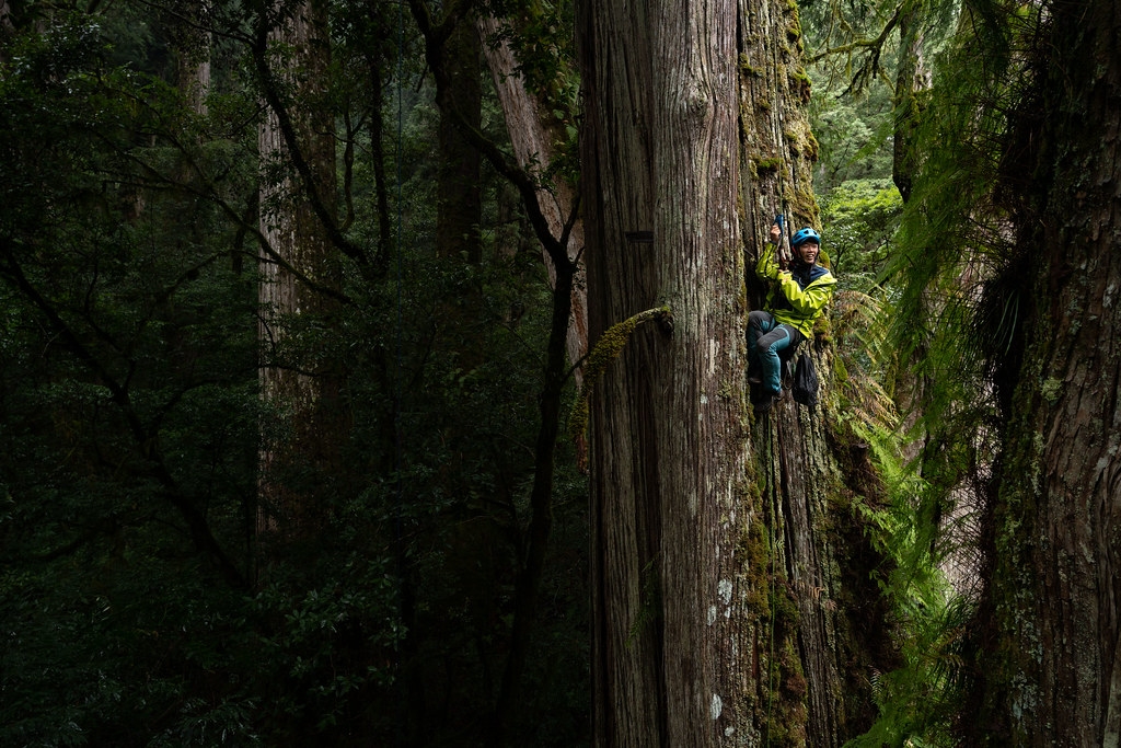 皮爾斯分享，完成一組巨木等身照需要拍攝450張照片、耗時約15分鐘。圖片來源：林試所提供