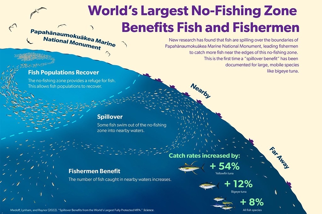 研究證實夏威夷Papahānaumokuākea海洋保護區讓外圍的商業魚種跟著增加。圖片來源：夏威夷大學馬諾阿分校