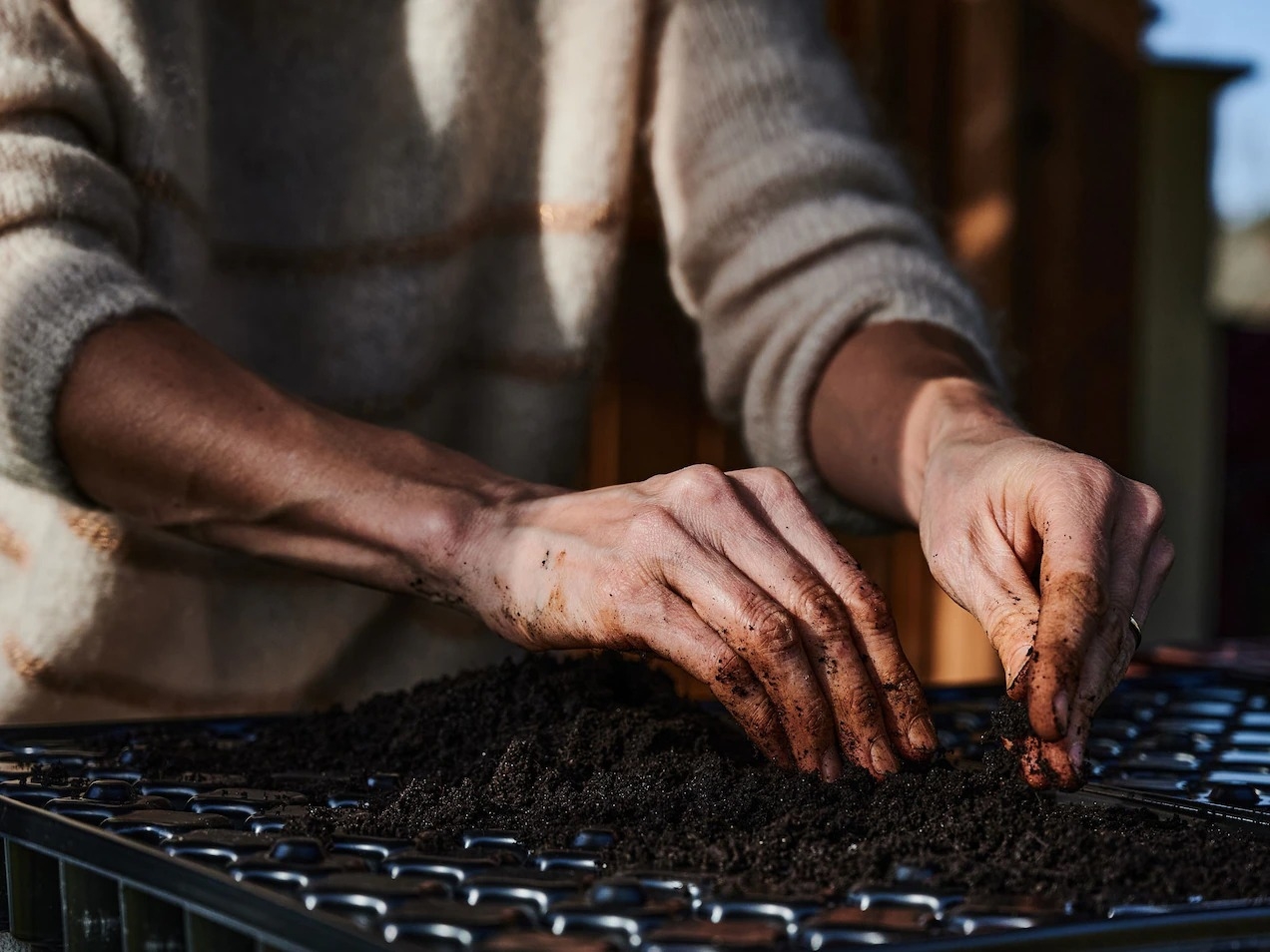 用來育苗、填滿都市園丁花床的培養土，主原料卻蘊含了超大的碳足跡。 PHOTOGRAPH BY NIVAL ANNE-SOPHIE, HANS LUCAS/REDUX 