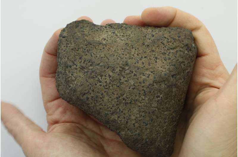 火星隕石shergottite家族之其一樣本。圖片來源： Martin Bizzarro。