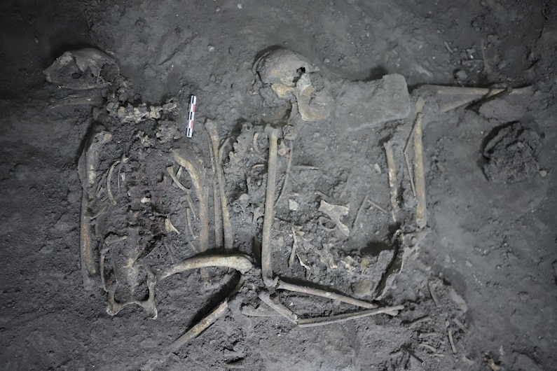 特奧蒂瓦坎的一處牲祭埋藏處發掘出金鵰（左）與蜘蛛猴（右）的完整骨骸，牠們的定年約在公元250至300年之間。PHOTOGRAPH BY N. SUGIYAMA, COURTESY PROJECT PLAZA OF THE COLUMNS COMPLEX 