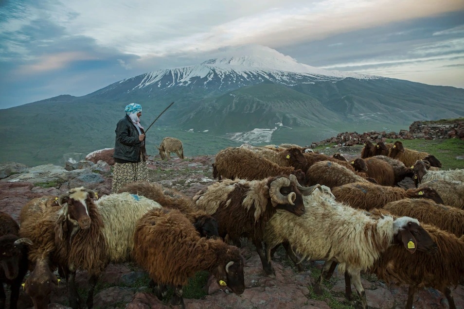 在土耳其東部、亞拉拉特山附近的牧羊人與他的羊群。許多人都曾在這座山的山坡上尋找方舟的證據，而不顧《創世紀》一書描述方舟最後停靠的地方其實是在西亞一處尚未確定的山脈上的這個事實。PHOTOGRAPH BY JOHN STANMEYER, NAT GEO IMAGE COLLLECTION