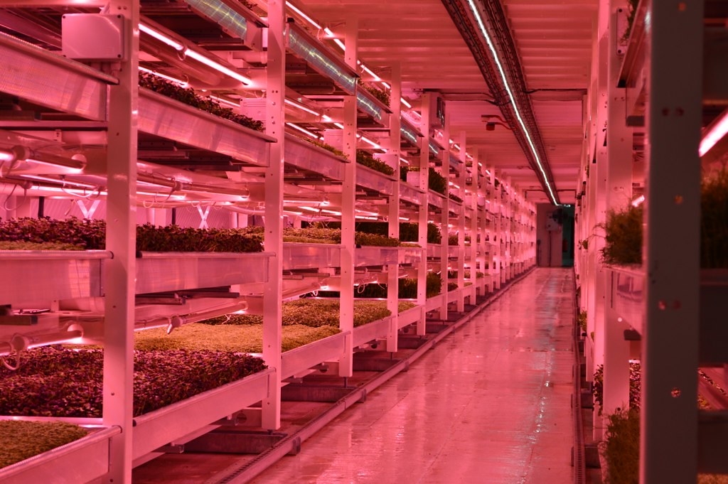 在城市糧食安全考量下，垂直農場正在崛起。圖片來源： Matt Brown（CC BY 2.0）