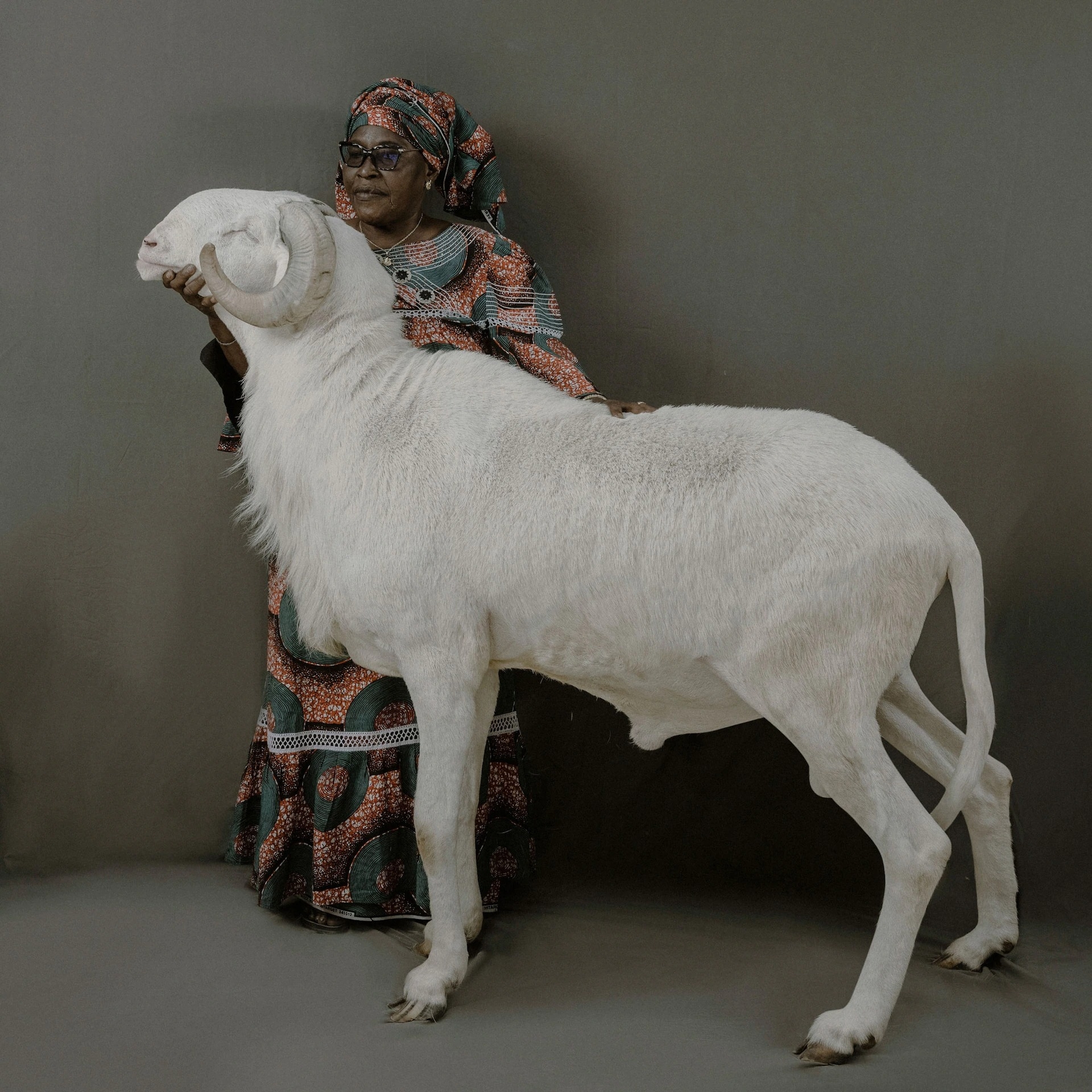 法圖瑪塔．多姆比亞（Fatoumata Doumbia）和她的羊拉多姆．馬斯（Le Ladoum Mass）一起拍照，這隻公羊兩歲多一點，身高106公分，這種品系的高大體型也是牠們這麼有吸引力的理由之一。
