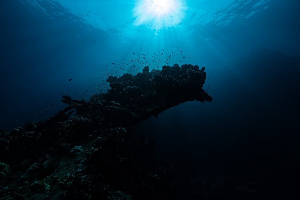 上層海洋變暖，會讓上下層海水的對流減少，進而影響海中含氧與營養。圖片來源：Saad Alaiyadhi / pexels