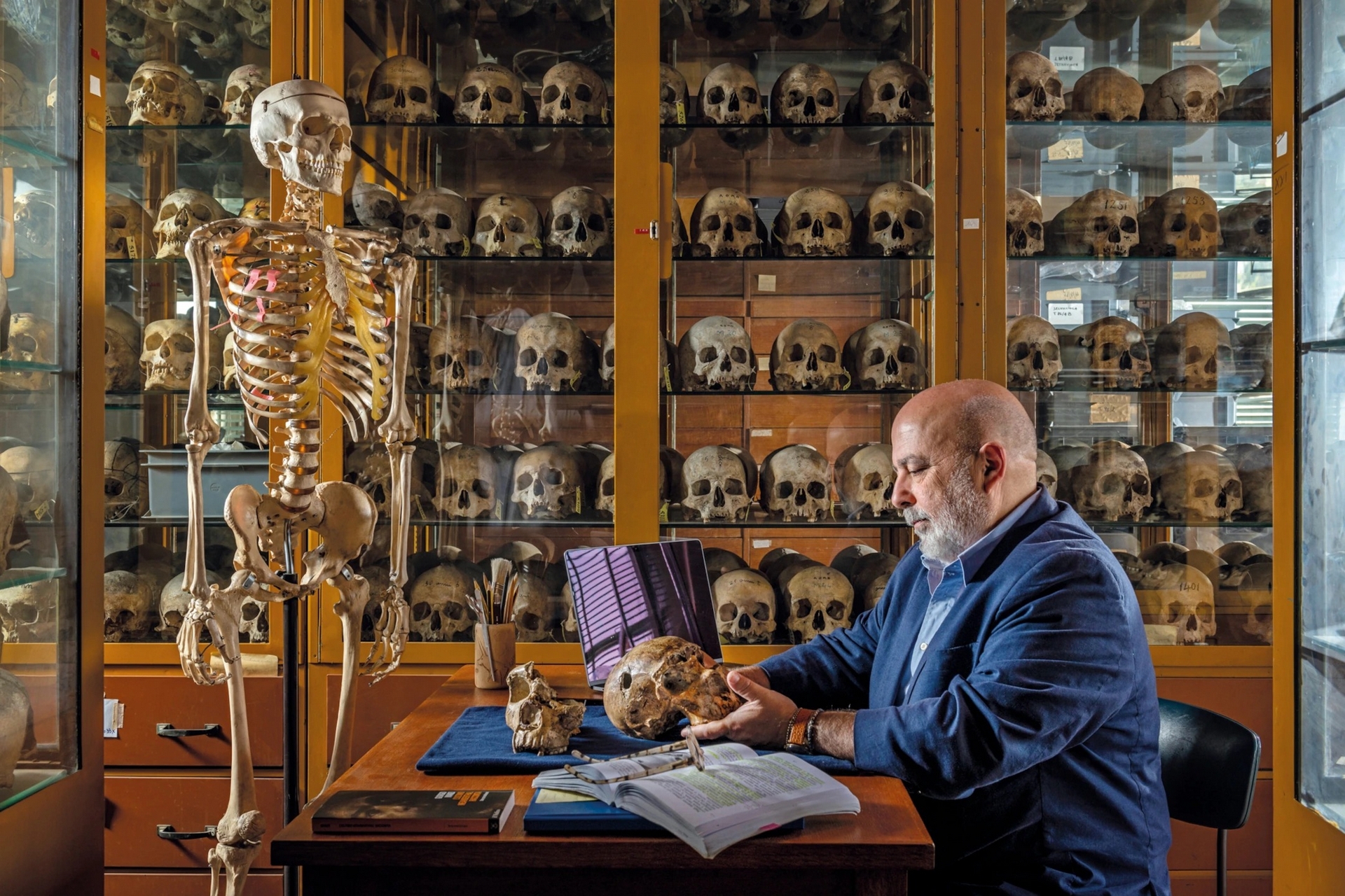 人類學家喬治奧．曼齊（Giorgio Manzi）在羅馬的塞吉爾人類學博物館（Museo di Antropologia G. Sergi della Sapienza）檢視「薩科帕斯托一號」與「二號」（Saccopastore 1 and 2）尼安德塔人頭骨。和這些頭骨一起出土的還有石器以及大象、河馬與犀牛的骨頭，這些同時出土的器物都能佐證這批人類化石已有將近13萬年之久。