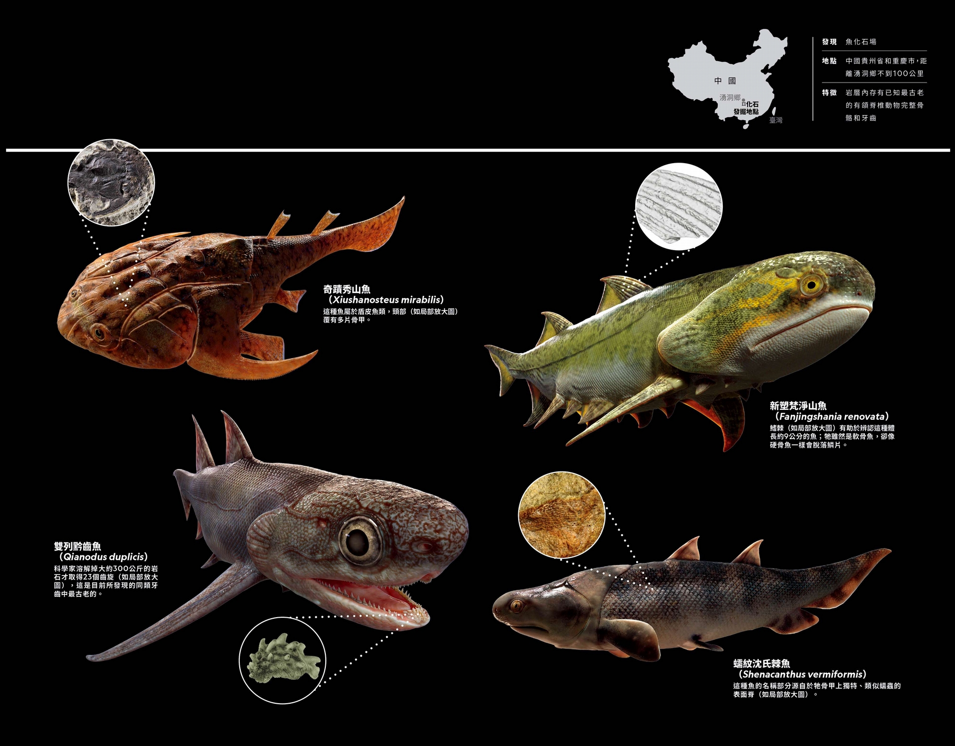 NGM MAPS. PHOTOS: INSTITUTE OF VERTEBRATE PALEONTOLOGY AND PALEOANTHROPOLOGY, CHINESE ACADEMY OF SCIENCES (FOSSILS); COURTESY PALEOVISLAB, IVPP NICE STUDIOS (RENDERINGS)