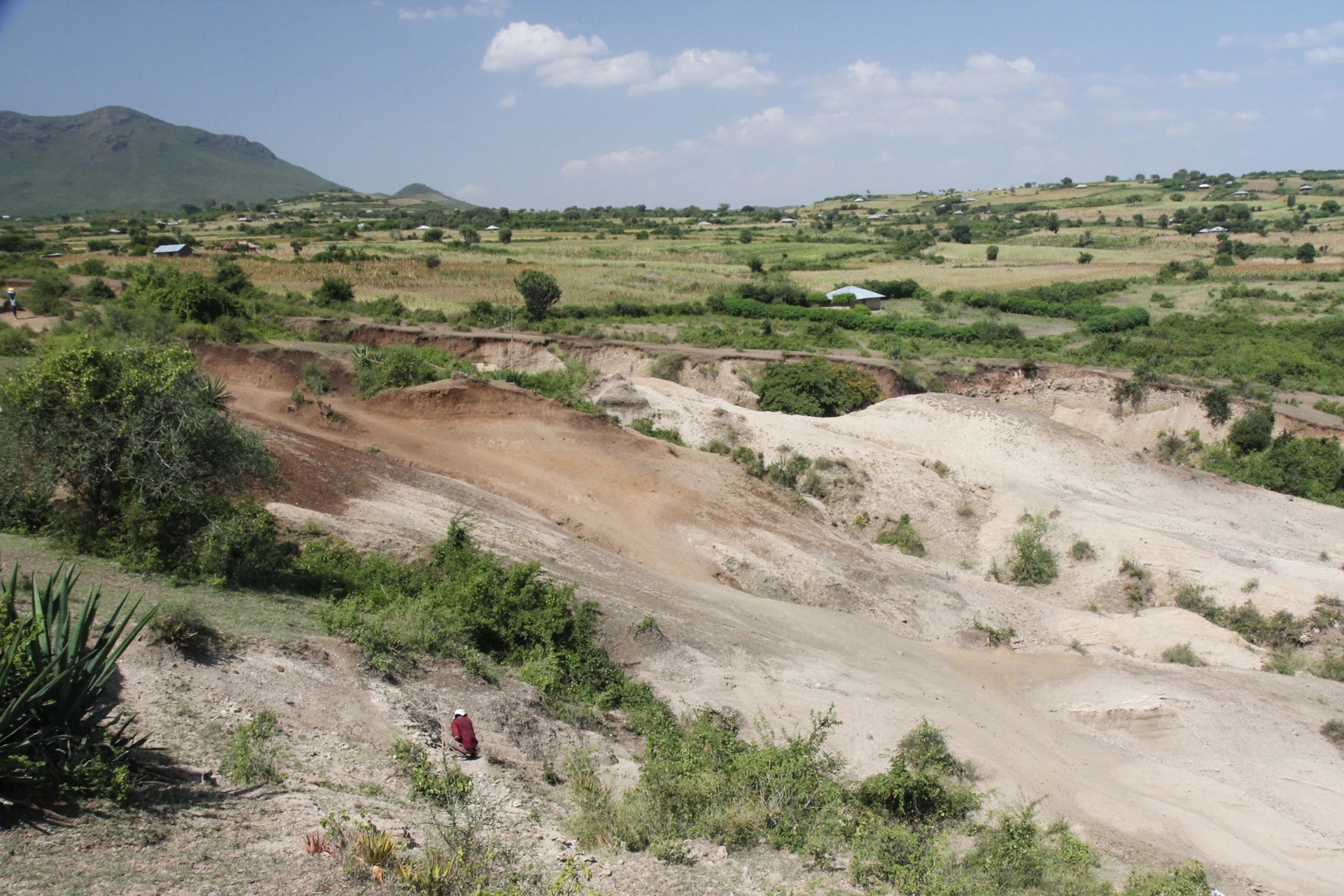 科學家在肯亞西南部的內楊加遺址發掘出超過300件石器（照片攝於2014年，早於發掘日期）。PHOTOGRAPH BY T.W. PLUMMER, HOMA PENINSULA PALEOANTHROPOLOGY PROJECT