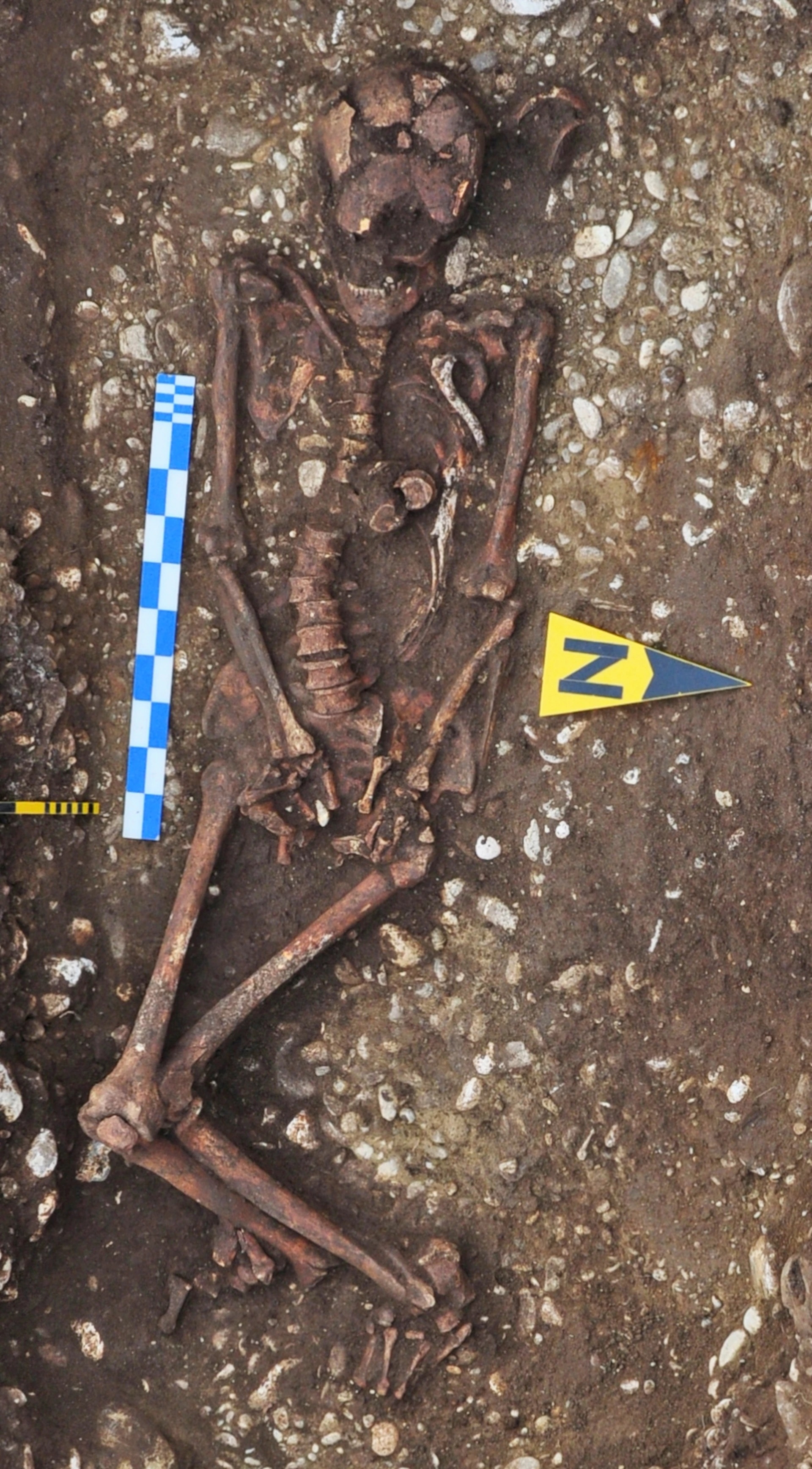 羅馬尼亞境內史特雷尼庫（Strejnicu）發現的顏那亞墓塚中有一名騎士的遺骨。這名死亡時約30至40歲的男性生活年代介在4500至5000年前，他的遺骸在這篇研究分析的人骨之中最明顯地顯示出騎馬留下的痕跡。PHOTOGRAPH BY ALIN FRÎNCULEASA 