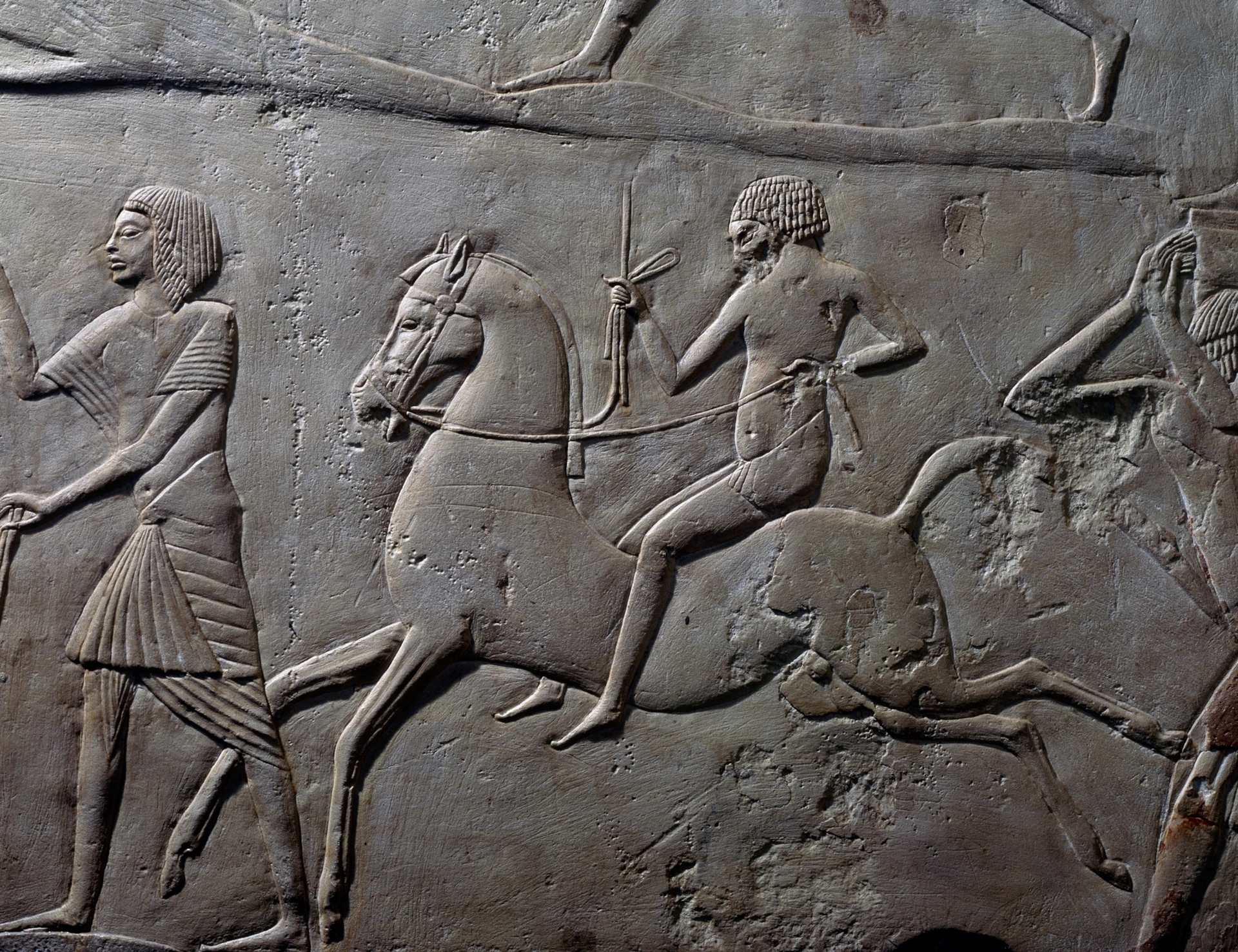 騎馬相關的描繪最早開始出現於青銅時代，例如位於埃及塞加拉（Saqqara）霍朗赫布墓（Tomb of Horemheb）中的這幅石灰岩浮雕。類似描繪出現的年代比最近於歐洲東南部發現的可能曾為馬背騎士的遺骸晚了大約1500年。PHOTOGRAPH BY DEAGOSTINI, GETTY IMAGES 