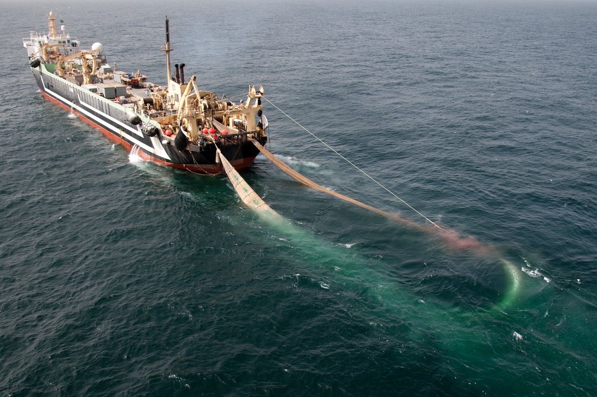 工業捕撈造成海洋資源嚴重破壞、生物多樣性流失，必須盡快制定全球性的海洋公約，規範海上的人為活動、限制捕撈和採礦等行為。 © Pierre Gleizes / Greenpeace