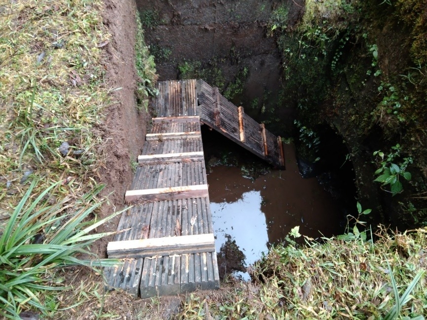 林道集水井內設置木製斜坡道供野生動物脫困。圖片提供：林務局提供
