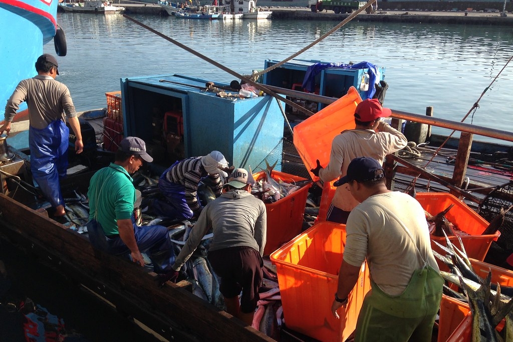  臺灣身為漁業大國，距離永續漁業仍有一段努力空間。示意圖。攝影：廖靜蕙