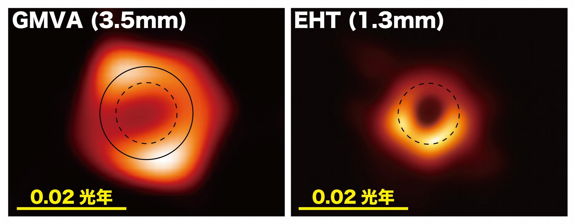 不同波長觀測的M87黑洞陰影影像，左：GMVA（3.5毫米），右：EHT（1.3毫米）。圖片來源：Lu, Asada, et al. (2023); the EHT Collaboration; composition by F. Tazaki  