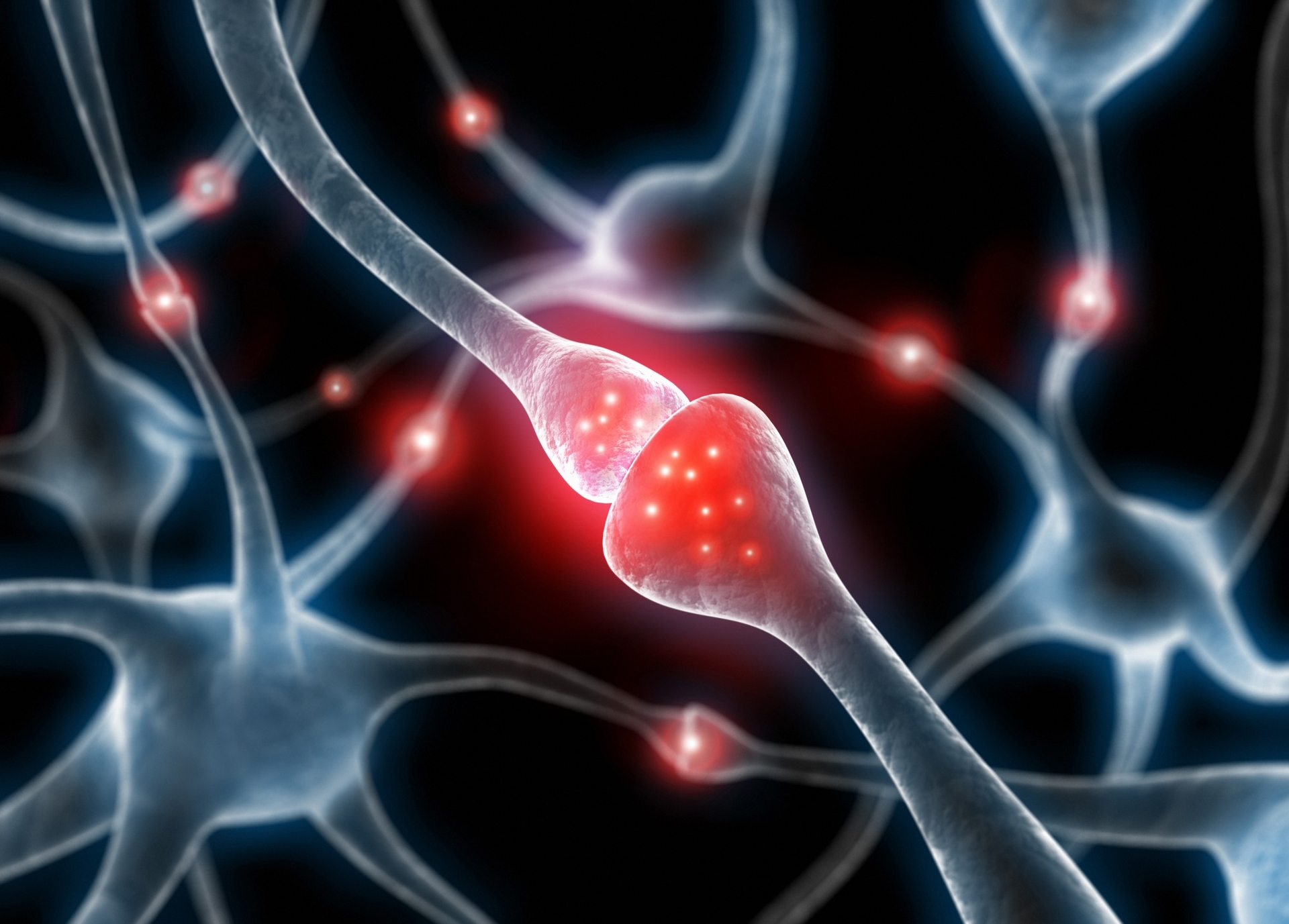 神經需要彼此連結才能發揮作用，突觸是如何形成的呢？ 圖｜iStock 