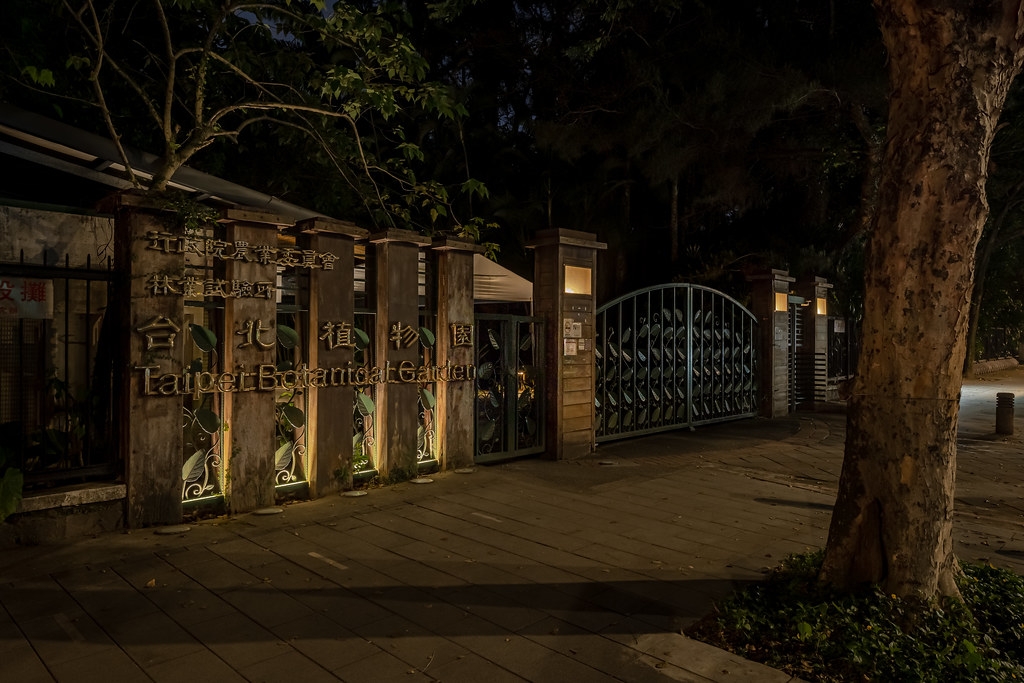 臺北植物園自2016年起，便著手調降植物園內路燈高度。圖片來源：中強光電文化藝術基金會提供。攝影：丰宇影像